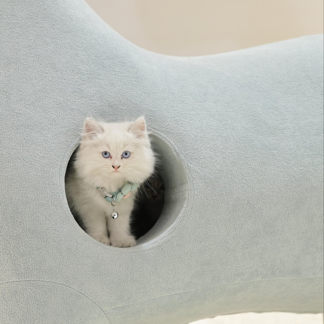 DinoLounge®: The Jurassic habitat for your cat