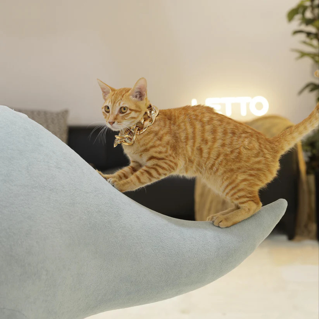 DinoLounge®: The Jurassic habitat for your cat