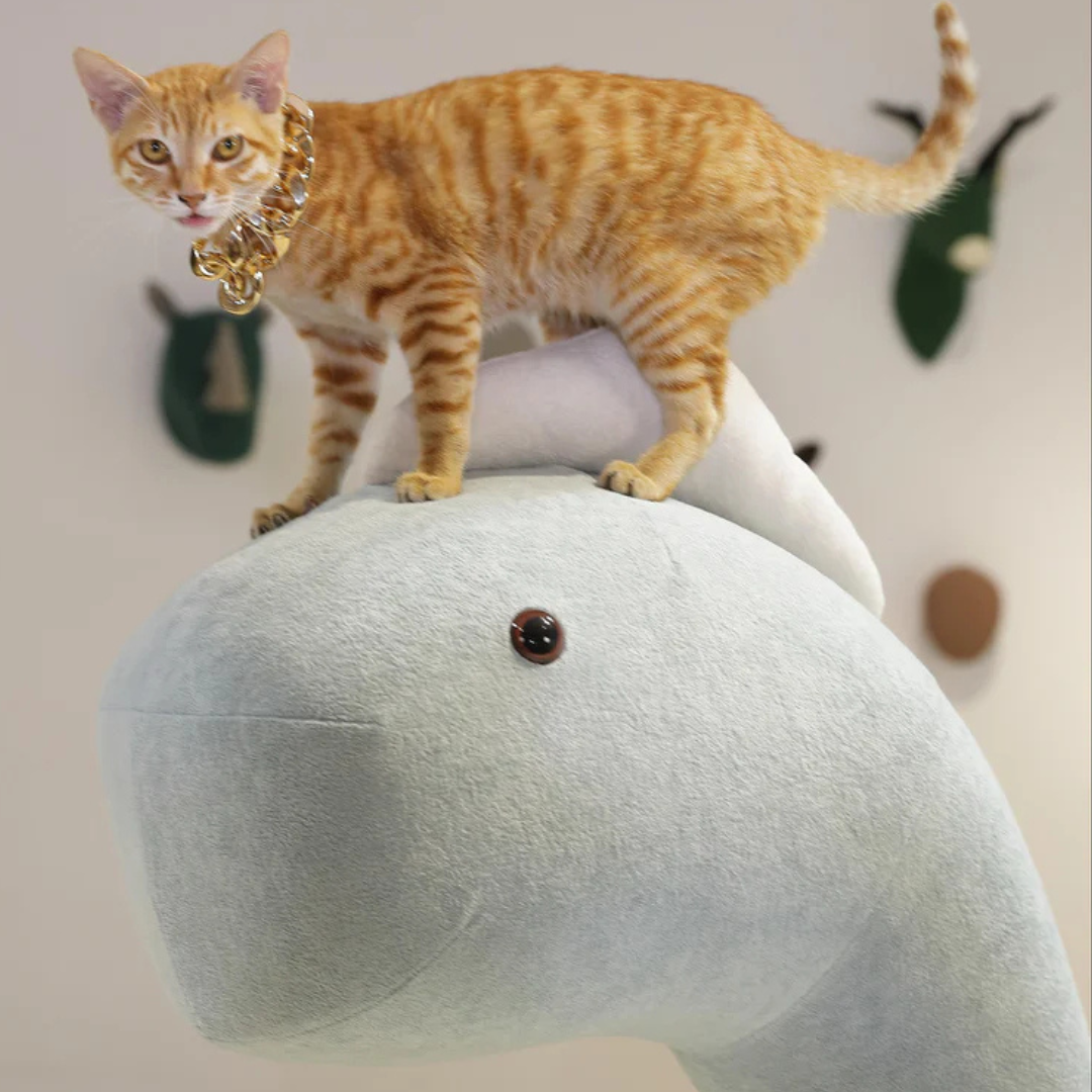 DinoLounge®: The Jurassic habitat for your cat