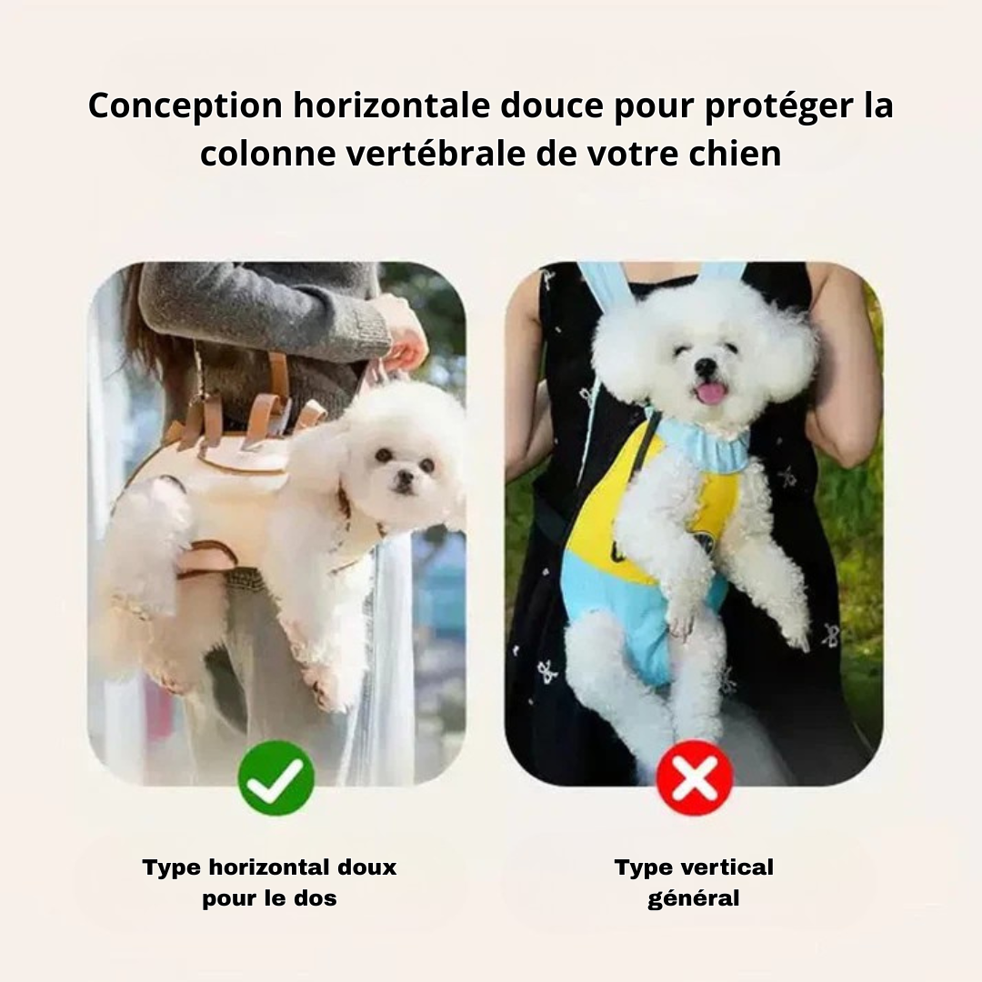 UrbanPaw® - La cage de transport idéale pour votre animal de compagnie
