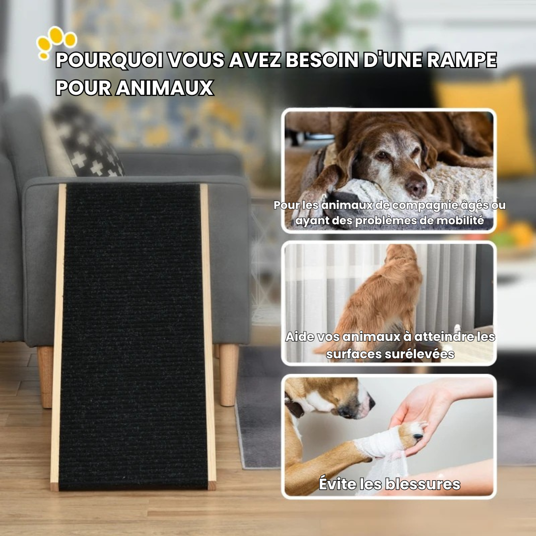PawLiftÂź - rampe pour chien