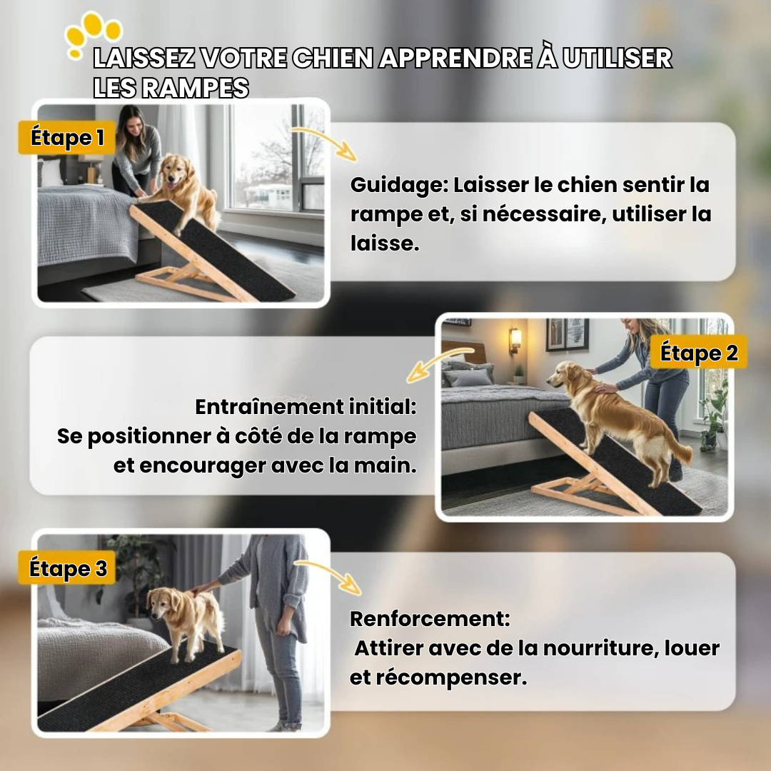 PawLiftÂź - rampe pour chien