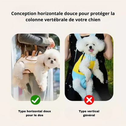 UrbanPaw® - La cage de transport idéale pour votre animal de compagnie