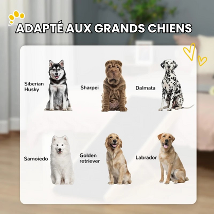 PawLift® - rampe pour chien
