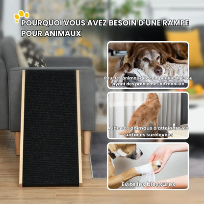PawLift® - rampe pour chien