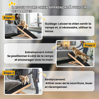 PawLift® - rampe pour chien