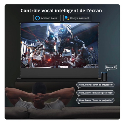 VisionScreen® - Écran de projection